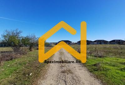 Teren Construcții intravilan de 1225 mp, în Corbeanca - 4