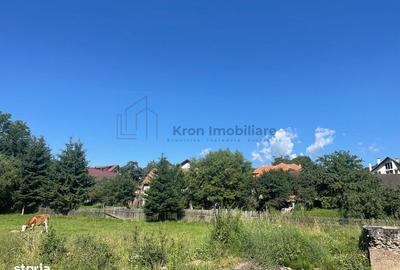 Spațiu comercial, în Moieciu - 7