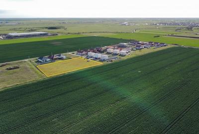 Teren Construcții intravilan de 1407 mp, în Sânandrei - 2