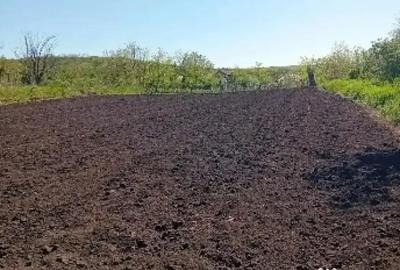 Teren de 2500 mp, în Trestiana - 1