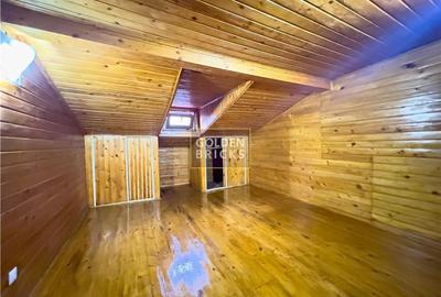 Pache Protopopescu | PROTV | Vizibilitate |  Curte 250 mp | Garaj - 26