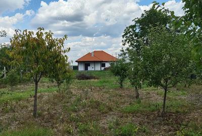 Casa individuala parter Berini - Timi?oara - 7