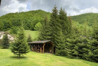 Casa cu Teren de 3000 metri patrati de vanzare - 12