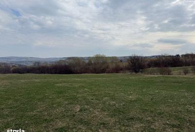 Teren de 8600 mp, în Baciu - 2