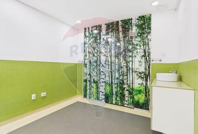 Casa cu 8 camere si 300mp curte, de inchiriat in zona Bd. Gloriei - 7