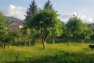 Casa de vanzare, Sacele, Brasov - 3