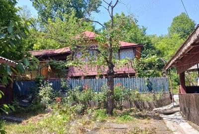 Casă cu Teren 3200 Mp în Grecești - 2