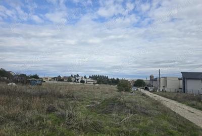 Teren de vanzare in Ovidiu cartier nou - 2