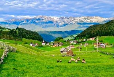 Locatie cu patru anotimpuri intr- o zi, incadrata de 2.350 teren, Bran - Fundata - 9