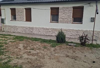 Casă cu 4 camere cu Teren 700 Mp în Peciu Nou - 1