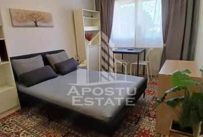Garsoniera Pet friendly, zona Buziasului - 5