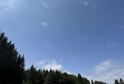 Teren agricol intravilan de 6000 mp, în Nord - 10