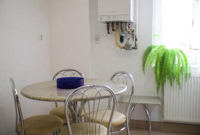 Apartament cu 4 camere decomandat, mobilat în Tineretului - 5