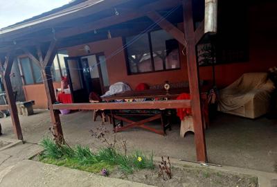 Casă cu 3 camere cu Teren 1168 Mp în Vladimirescu - 7