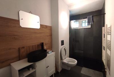 DE INCHIRIAT - APARTAMENT 2 CAMERE-PODU ROS - 8