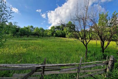 Spațiu comercial, în Moțăieni - 1