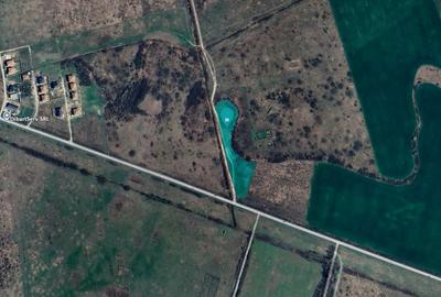 Teren Construcții intravilan de 6159 mp, în Moșnița Nouă - 5