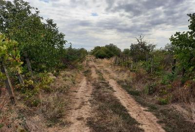 Teren Construcții intravilan de 500 mp, în Central - 1