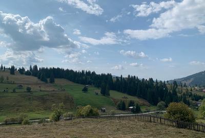 Teren de 7837 mp, în Dorna-Arini - 5