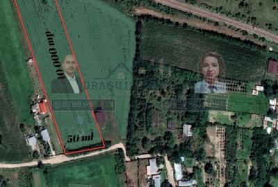 Teren Statia Meteo Balcescu/ 2 loturi de 5000 mp /Tecuci - 5