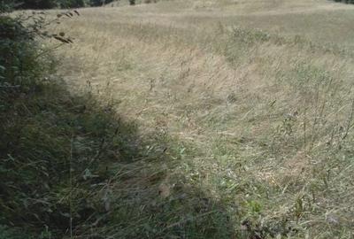 Casă cu 4 camere în Central - 2