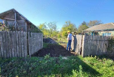 Inchiriez casa sat Gurbanesti, judet Calarasi Pret 1000 Ron lunar - 3