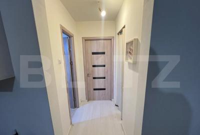 Apartament cu 3 camere semidecomandat, mobilat în Brazda lui Novac - 10