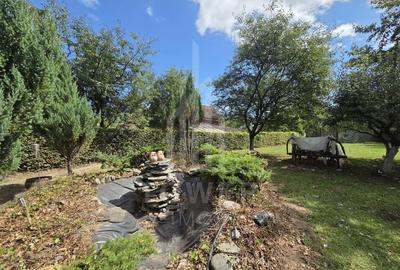 Teren deosebit cu cabană din lemn, Tocile – locație liniștită - 6