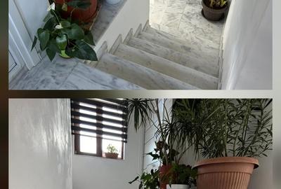 Spațiu comercial, de 400 mp, în Titulescu - 4