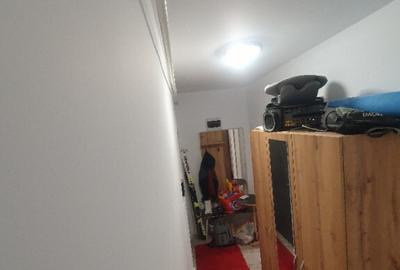 Apartament 1 camera Lunca Cetatuii, Astoria - 3