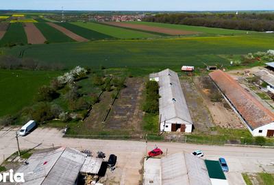 Spațiu comercial, de 734 mp, în Macea - 2