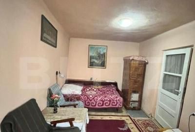 Casa individuala + Teren 4600 mp- Siret - 6