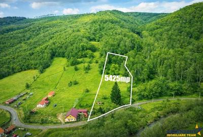 Teren de 5425 mp, în Județean - 8
