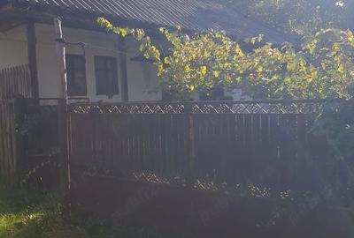 Teren de 2898 mp, în Leicești - 1