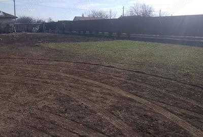 Casă cu 3 camere în Băneasa - 5