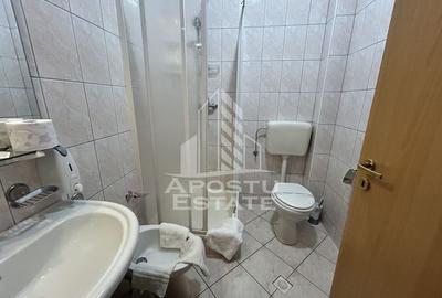 Spațiu comercial, de 1,245 mp, în Aradului - 9
