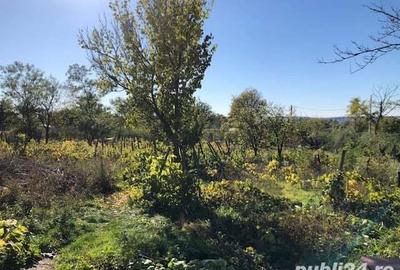 Andrieseni, intravilan, 1100 mp, asfalt, langa teren de sport - 2