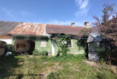 Casa 160mp utili+anexe+teren 67 ari intravilan,10 km distant - 10