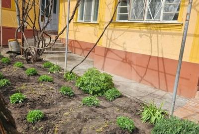 Casă individuală cu 3 camere cu Canalizare în Ceanu Mic - 4