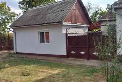 Casă cu 2 camere cu Teren 1939 Mp în Ghioroc - 4