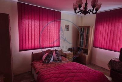 Casă cu 4 camere cu Teren 3800 Mp în Prundu Bârgăului - 5