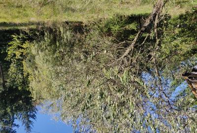 Vand casa de vacanta de 70 mp pe un teren de 1572 mp in Campul Cetatii la intrare in sat,langa sosea - 10