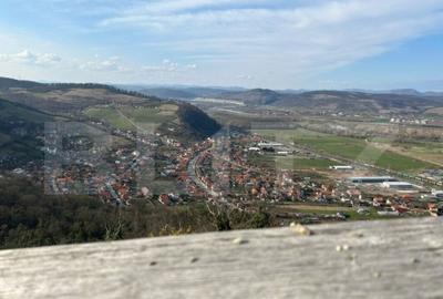 Casa cu 5 camere, in Deva, zona Viile Noi - 20