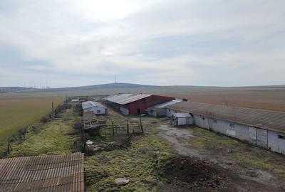 Teren de 4300 mp, în Sălcioara - 5