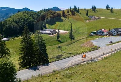 Teren 56599mp Dambovicioara / Soseaua DN 73Dealul sasului! - 1