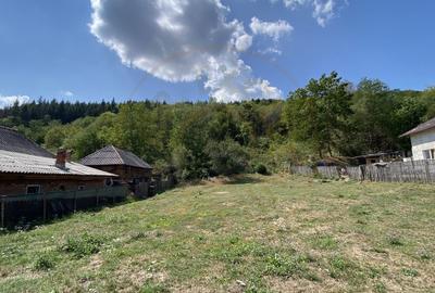 Teren 4000 mp intravilan loc. Aninoasa, jud Arges. Comision 0% - 3