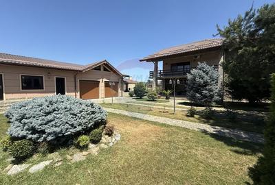 Casa de vacanta la 200m de Dunare - 45