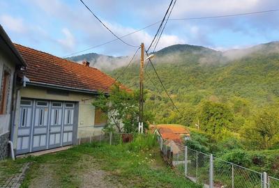 Casă cu 6 camere cu Teren 1000 Mp în Armeniș - 9