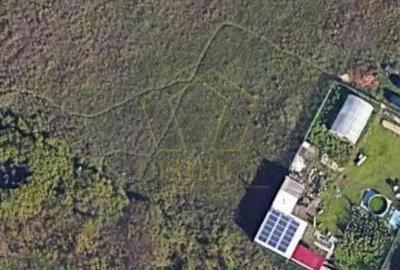 Teren constructii duplex sau individuala | Ciarda Rosie | Hornbach - 2