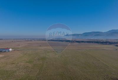 Teren 11,600mp Rasnov / DN 73 zona Tabara, bonus un teren de 3000 mp Teren 11,600mp Rasnov / DN 73 zona Tabara, bonus un teren de 3000 mp - 6